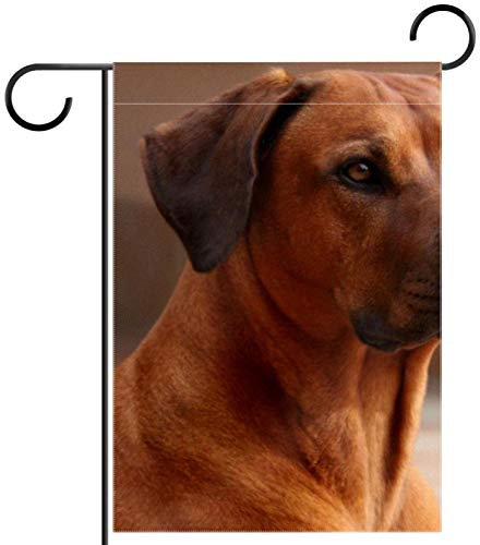 Personalisierte Gartenflagge Rhodesian Ridgeback Hund doppelseitig außen kleine Hofflagge für Dekorationen Outdoor Schilder Dekoration