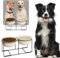 Hundenapf Set Erhöht Hundenäpfe Keramik - Doppel Fressnapf Hund Groß mit Rutschfestem Metallständer - Hunde Napfset für Futter Wasser - Ideal für Mittelgroße und Große Hunde - 2 x 1600 ml - Beige