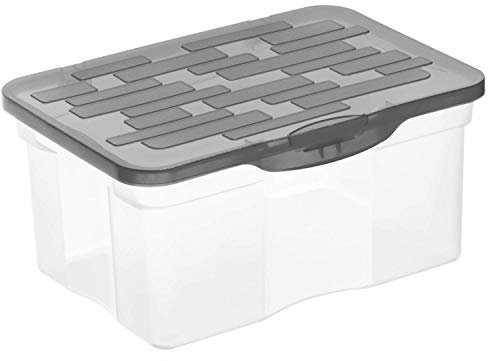 Rotho Ranger Scatola di Conservazione con Coperchio, Plastica (PP) senza BPA, Grigio (Antracite), A5/4.2 L, 26.5 x 19.0 x 12.5 cm