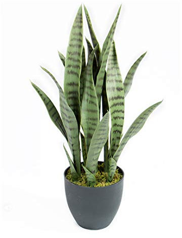 Catral | Planta Artificial Sansevieria 70 Cm | Plantas Artificiales Decorativas | Planta Artificial Realista | Planta Artificial Grande | Planta Tropical | Ideal para Decoración De Hogar Y Oficina