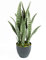 Catral | Planta Artificial Sansevieria 70 Cm | Plantas Artificiales Decorativas | Planta Artificial Realista | Planta Artificial Grande | Planta Tropical | Ideal para Decoración De Hogar Y Oficina