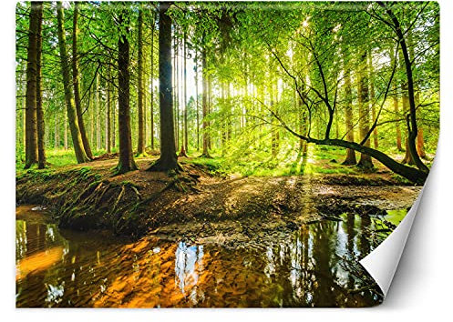 Feeby Sun Trees Papier Peint 350x245cm Peintures Murales Vertes Décoration Murale Moderne Bureau À Domicile Bureau Chambre D'Hôtes Nature Forêt Ruisseau