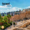 Bright Day Israel Monats-Wandkalender 2025, 30,5 x 30,5 cm, Jerusalem, Totes Meer Bethlehem