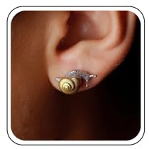 Inateannal Boho Kleine Schnecken Ohrstecker Gold Winzige Schnecken Ohrringe Niedliche Kleine Tier Ohrringe Minimalistische Schnecke Ohrstecker Vintage Schmuck Für Frauen