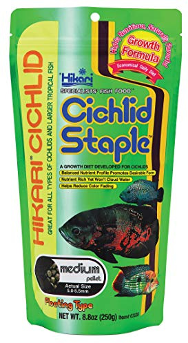 Hikari 8.8-Ounce Cichlid Staple Floating Pellets for Pets, Medium