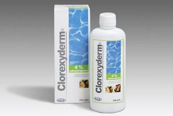 aniMedica Clorexyderm Shampoo 4%