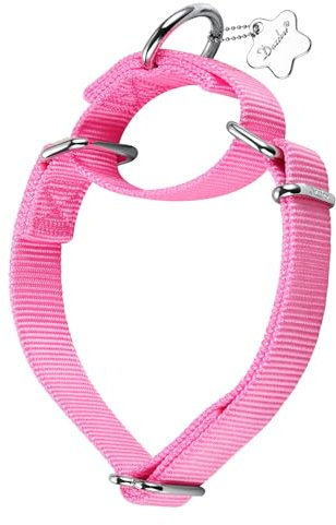 Dazzber Martingal Halsbänder für Hunde, Verstellbar Langlebig Kein Escape Stop Ziehen Hundehalsband Nylon für Große/Mittlere/Kleine Hunde (M, Leuchtend Rosa)