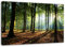 Feeby, Leinwandbild, Bilder, Wand Bild, Wandbilder, Kunstdruck 60x80cm, Wald, Baum, Landschaft, Natur, GRÜN