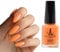 Vivien Kondor Vegan Friendly Argan Care Nail Polish (Orange Twist)