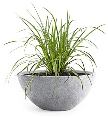 Pflanzwerk® Fioriera Vaso da Fiori Bowl Ø 28cm Lava Grigio Chiaro *Resistente al Gelo* *Europea di qualità* *Protezione UV*