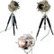 Black Wooden Tripod Stand Table Lamps LED Spotlights Cinema Standing Table Lamp Chrome Finish Bedroom Light Desktop Home & Office Decor