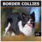 MICASA PRESS Border Collies Wandkalender 2025, 12 Monate, 30,5 x 61 cm offen, dickes und stabiles Papier, Geschenk, Kalender 2025