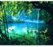 murando - Fototapete Selbstklebend Wasserfall 200x140 cm - Foto Tapete Tapetenfolie Möbelfolie Wandverkleidung Wandtapete Motivtapeten Wohnzimmer Schlafzimmer 3d Effekt Modern - Wald c-B-0132-a-a