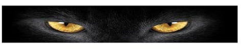 Uposao Car Windshield Sticker, Front Rear Window Windshield Decal Reflective Sticker Car Sun Strip Visor DIY Banner Applique Styling Decoration