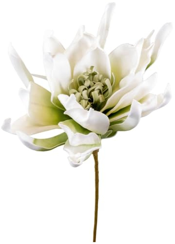 matches21 Schöne künstlicher Lotus aus Schaumstoff - Kunst Blume in Creme - Hübsche Hochzeit Pflanzen Deko wie echt Ø 20 x 60 cm