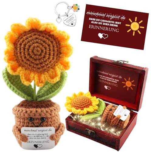 Dankeschön Geschenke Klein – Pocket Hug Deutsch Positive Gestrickte Mehrfarbig Sonnenblume mit Schlüsselanhänger & Grußkarte im Vintage-Schatztruhe – Glücksbringer für Freunde Kollegen Eltern (B)