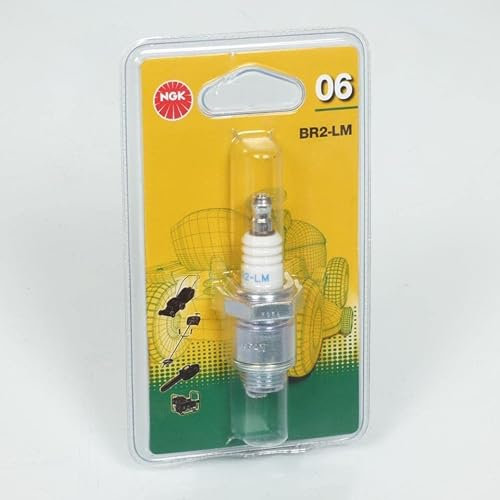 BOUGIE BR2-LM NGK BLISTER