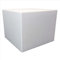Terra Exotica Styroporbox/Thermobox - 48,0 Liter - 48,0 x 48,0 x 38,0 cm/Wandstärke 4 cm - Styrobox zum Transport von Reptilien