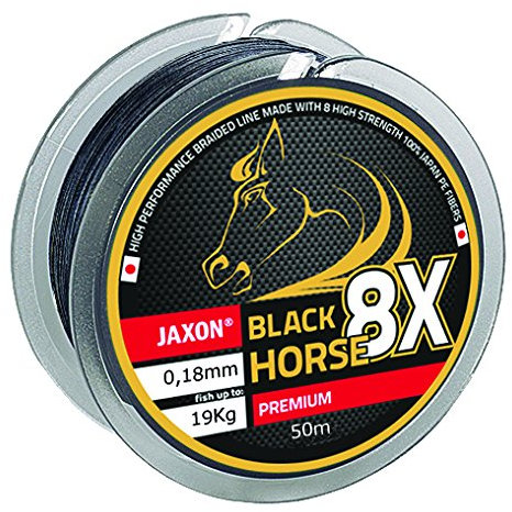 Jaxon Geflochtene Schnur Black Horse Premium 50m Angelschnur 8-Fach (0,096€/m) (0,18mm / 19kg)
