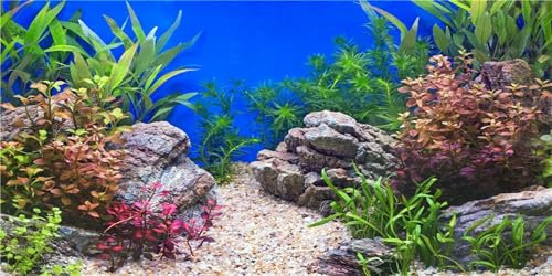 MIRRORANG 180x61cm Wasserpflanze Aquarium Hintergrund Stein Flussbett & See Aquarium Hintergrund Vinyl