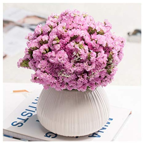 CAFIEDR Fleur Artificielle en Pot Fleur de gypsophile Artificielle avec Vase Fleurs séchées Décoration pour Table Maison Bureau Mariage Arrangement de Fleurs artificielles