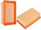 2 Pezzi Filtri per Kärcher 2.863-005.0 Filtro Plissettato Piatto per MV4,MV5,MV6,WD4,WD5,WD6 Filtro di Ricambio Filtro