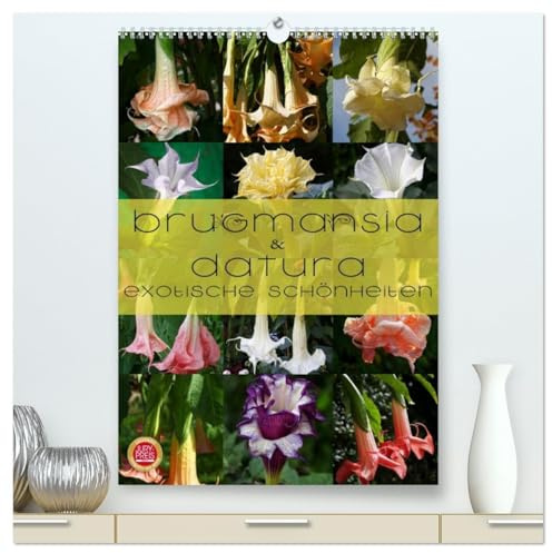 Brugmansia & Datura - Exotische Schönheiten (hochwertiger Premium Wandkalender 2026 DIN A2 hoch), Kunstdruck in Hochglanz: Brugmansia & Datura - ... Schönheiten im Protrait (CALVENDO Natur)