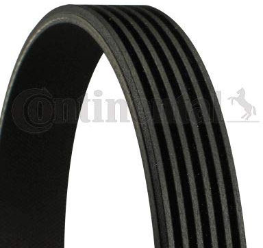Keilrippenriemen, CONTI-V MULTIRIB® für FORD FIESTA Kasten (JV_)