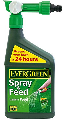 EverGreen Spray & Feed Lawn Food 1L