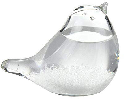 bluesa Sturmglas Wettervorhersage, Sturmglas Vogel Form Design Modisch Kreativ Glas Wetterstation, Barometer Wetterstation Für Zuhause Und Büro, Langlebig Und Nützlich
