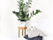 Cache-pot GEO sur pieds - Marbre blanc et Chêne - Leewalia - décoration d'intérieur - plantes - pot de fleurs - Leewalia - green lovers - nature