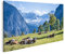 Bild auf Leinwand Kühe auf Wiese in den Bergen Alpen Kuhwiese Wandbild Poster Kunstdruck Bilder 100x57cm