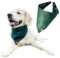 Hundehalstuch, stylisches Hundehalstuch aus Velours und zartem Futter, verstellbares Accessoire für Ihren vierbeinigen Freund, eleganter Verschluss (Flaschengrün, L)