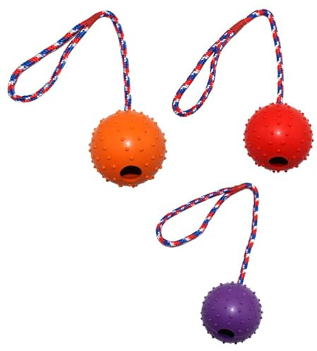 CHUANGOU Sporgo Palline Giocattolo per Cani, 3 Pezzi Lancia Palline per Cani con Corda Palla per Cani, Palla Cane Indistruttibile in Gomma Naturale Pet Ball