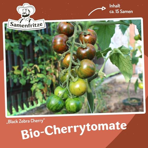 Black Zebra Cherry Bio-Tomatensamen