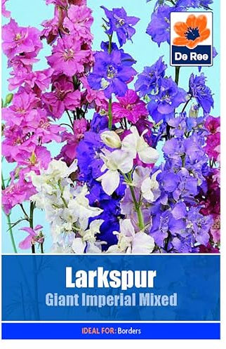 Larkspur Giant Imperial Mixed - 290 Seeds Flower Plant Bedding Borders Containers Pots Grow Your Own Garden Plant Seed