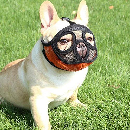 PETEMOO Maulkorb für Hunde mit abgeflachter Schnauze-verstellbar, atmungsaktiv: Englische Bulldogge, Französische Bulldogge, Pekingese, Shih-Tzu, Mops, auch für Katzen geeignet.