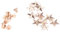 Borchie per rivetti in lega, 10 set stella borchie bottoni per borse in pelle scarpe decorazione fai da te 14mm(Oro convesso 14mm)