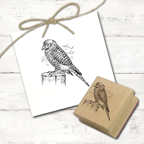 Dekolando Motivstempel Turmfalke auf Stamm - Stempel Falke Greifvogel Holzstempel - Abdruck 48 x 48 mm