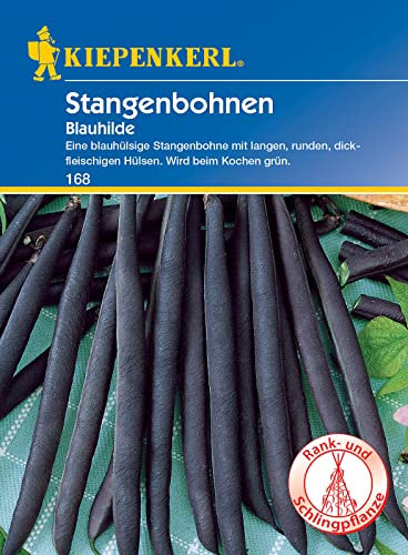 Kiepenkerl 0168 Stangenbohne Blauhilde, beliebte blauhülsige Stangenbohne ohne Fäden, widerstandsfähig