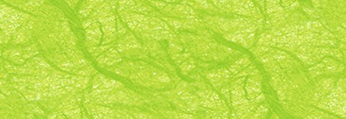 Strohseide 50 x 70 cm hellgrün Rl. a´ 5 ´Bogen