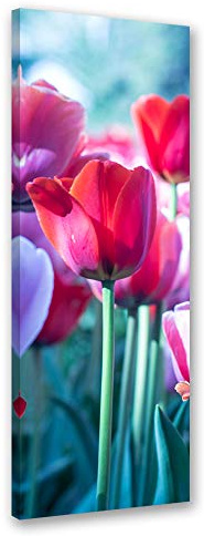 Feeby Leinwandbild Tulpen Bild Kunstdruck Garten Rot 25x70 cm