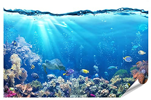 islandburner Prime Poster XXL Fotodruck Unterwasser Mit Riff Und Tropischen Fischen Aquarium Hintergrund Premium Bild auf Foto Papier 130x9