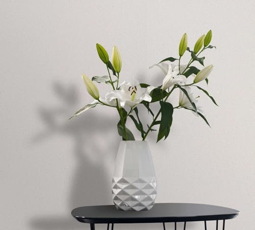 Vliestapete Struktur Granulat Stein Optik Einfarbig Weiß Creme 33364