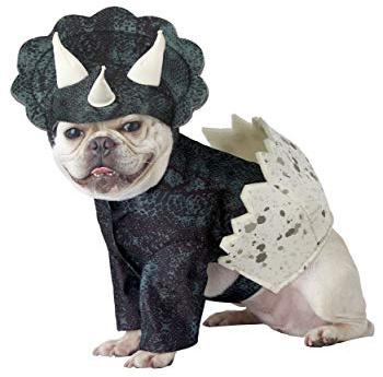 Dog Dino Pup Fancy Dress Costume Small