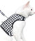 Yizhi Miaow Katzengeschirr und Leine zum Spazierengehen, ausbruchsicher, verstellbares Katzengeschirr, gepolstert, stilvolle Katzenweste, schwarzes Karo, Größe S