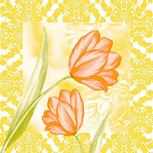 Mank GmbH Deckchen aus Tissue, 90 x 90 mm Untersetzer für Tassen Gläser Vasen, Tassendeckchen Tassenuntersetzer 250 Stück Sally Blumen Floral
