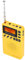 DAB Radio, Tragbares DAB Taschenradio, USB Stereo Radio mit 1,44 Zoll LCD Display, Lesegerät, MP3 Player und Lautsprecher für Wanderungen und Spaziergänge.