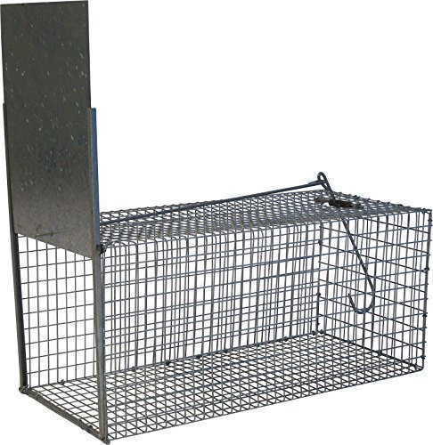 Practo C910 Katzenklappe, 605 x 270 x 270 mm, Grau