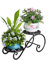 Étagère Plante Intérieure, Porte Plantes Fer Forgé Extérieur Intérieur de 2 Niveaux Support Pot de Fleurs Intérieur Idéal pour Maison Balcon Terrasse Jardin (le noir-2)